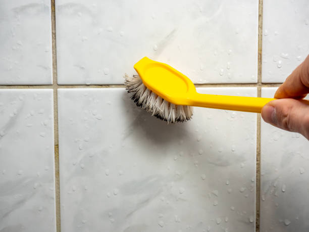 Best Local Mold Removal Service  in Brodheadsville, PA