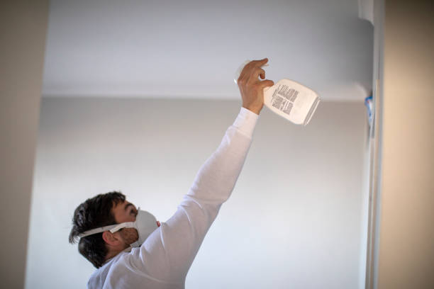 Best Office Mold Removal Services  in Brodheadsville, PA