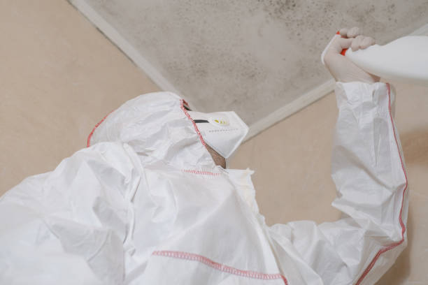 Best Water Damage Restoration  in Brodheadsville, PA