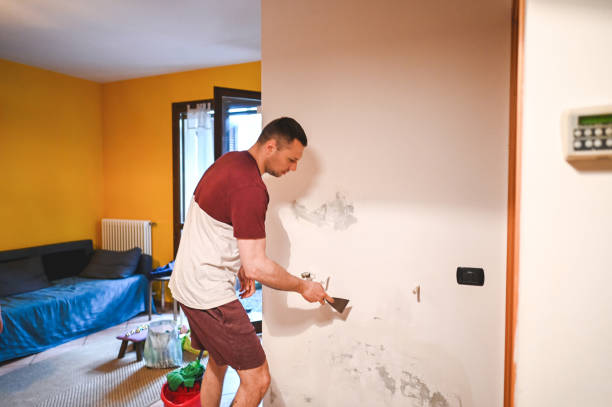 Best Home Mold Removal  in Brodheadsville, PA