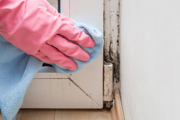 Water Damage Restoration in Brodheadsville, PA